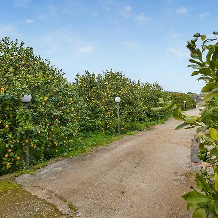 Limoneto